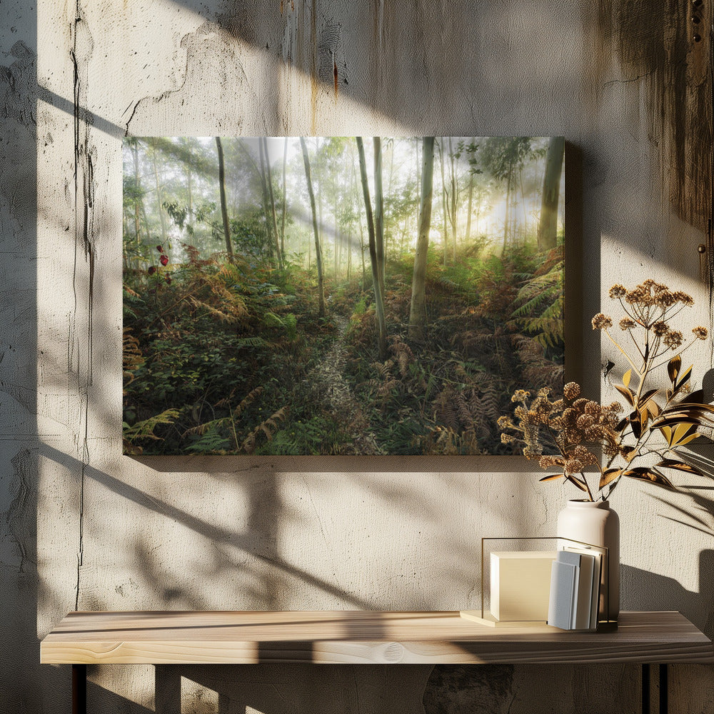 Nebliger Wald II | Leinwand