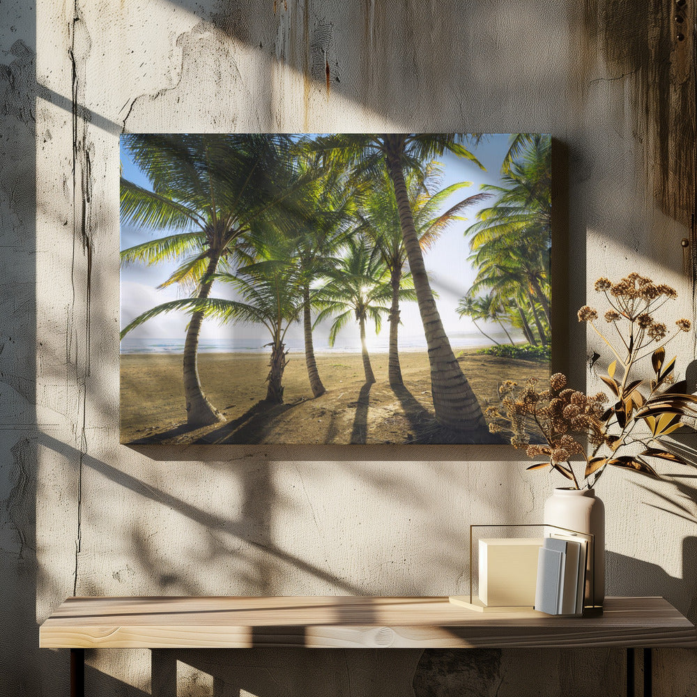 Tropischer Morgen | Leinwand