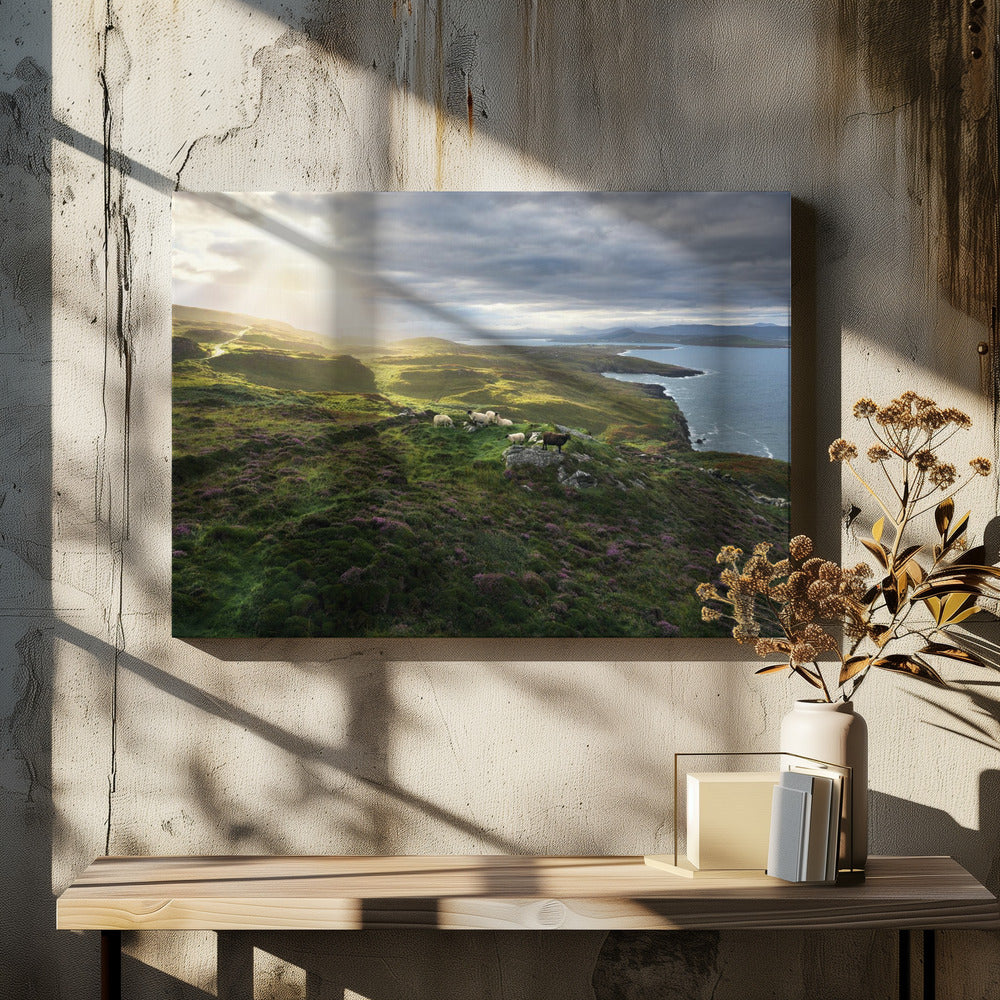 Guten Morgen Irland | Leinwand