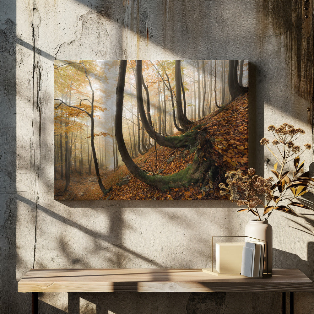 Mystischer Herbstwald | Leinwand