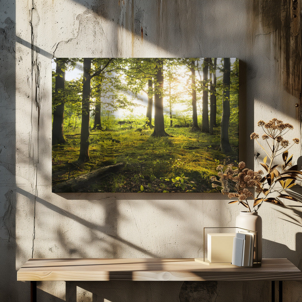 Sommer im Wald | Leinwand