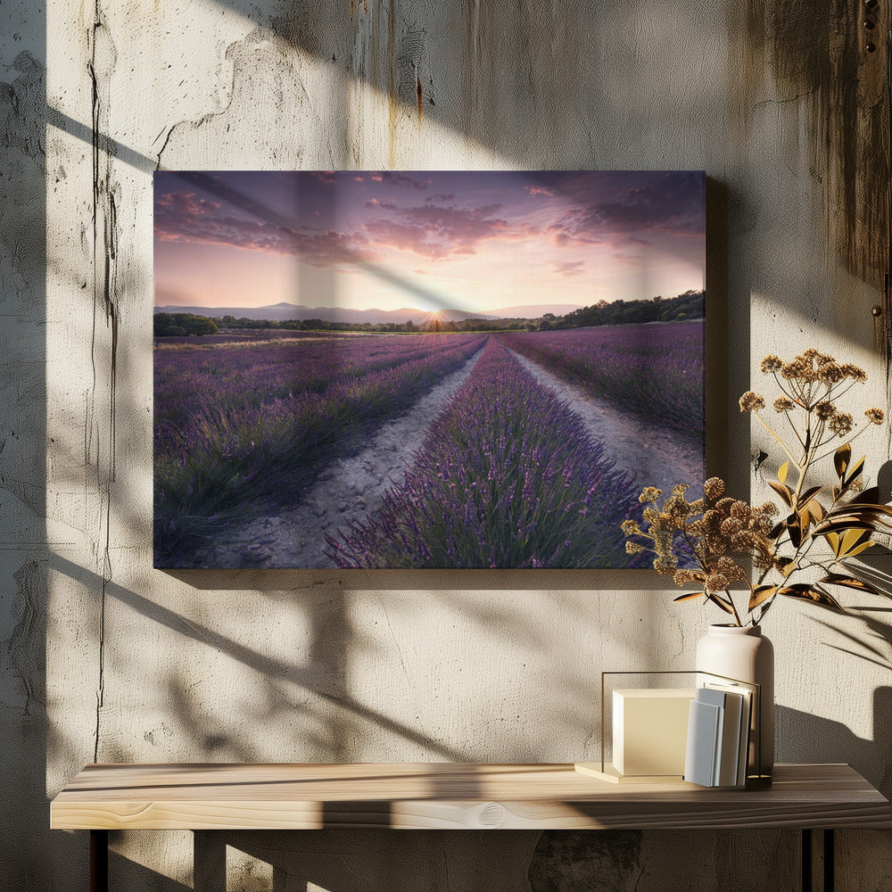 Lila Provence | Leinwand