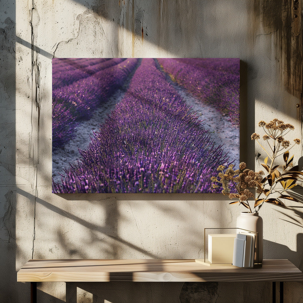 Lavendeldetail | Leinwand