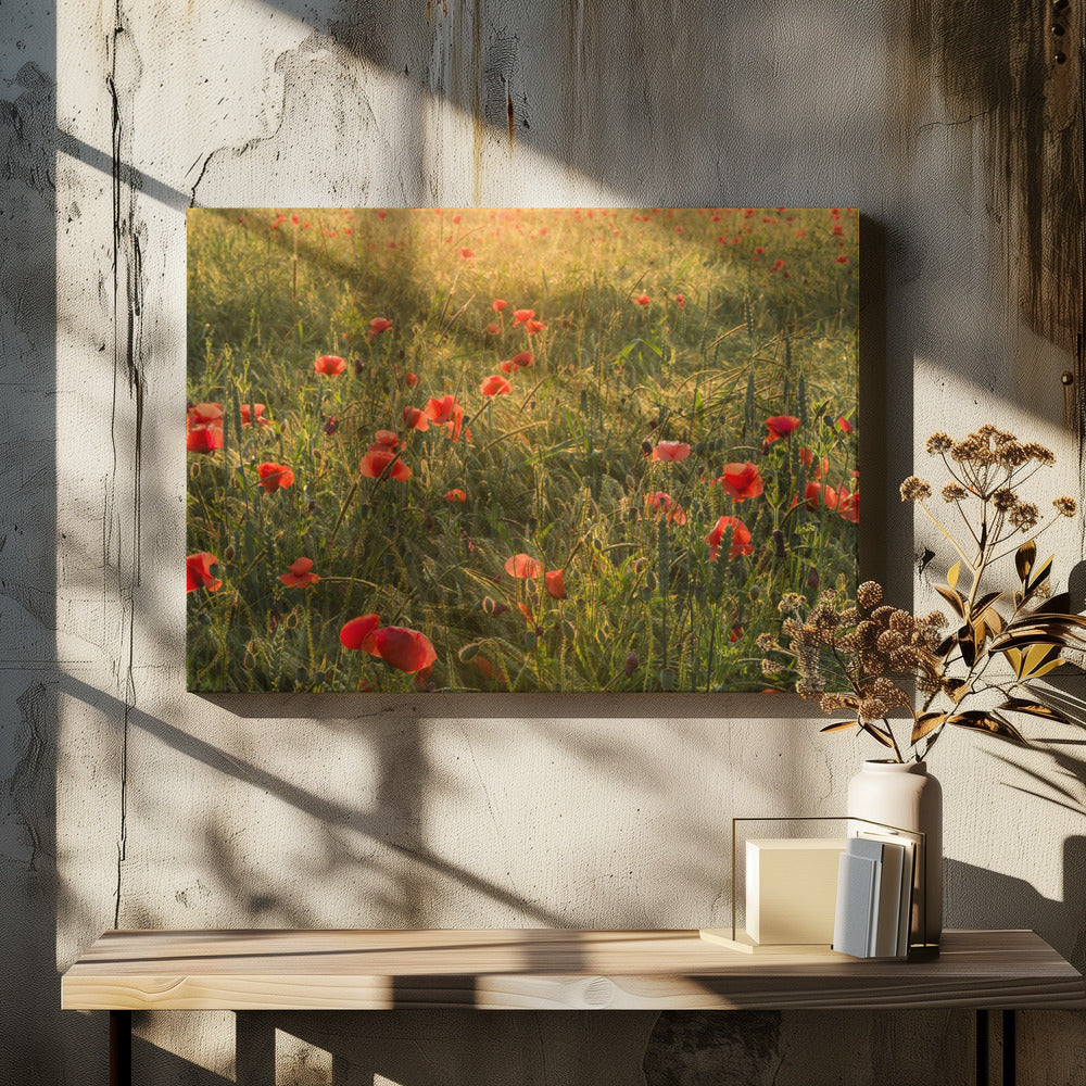 Mohnwelt II | Leinwand