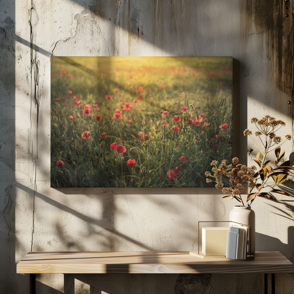 Mohnwelt III | Leinwand