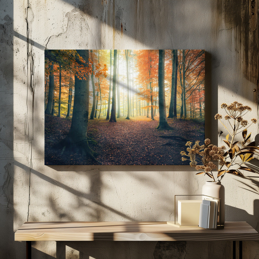 Herbst im Wald | Leinwand