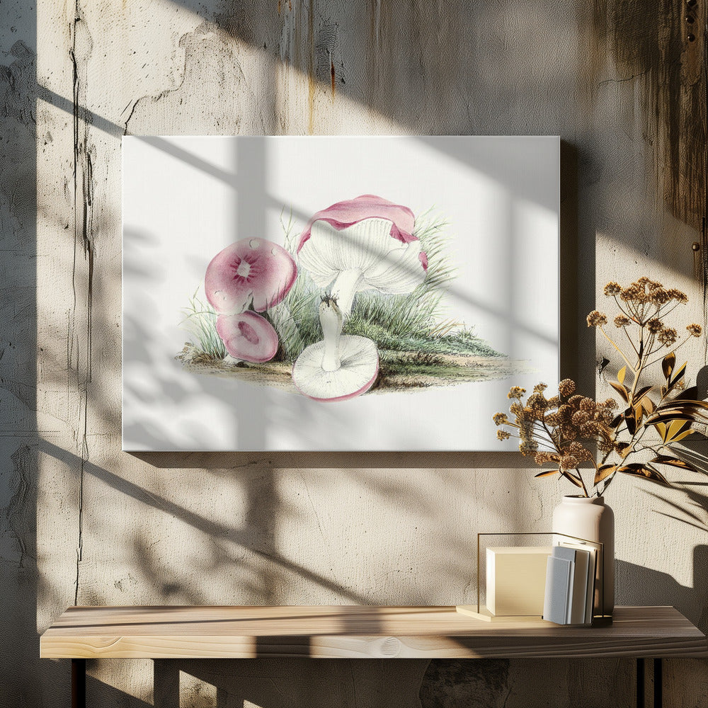 Vintage Russula Emetica Pilz | Leinwand