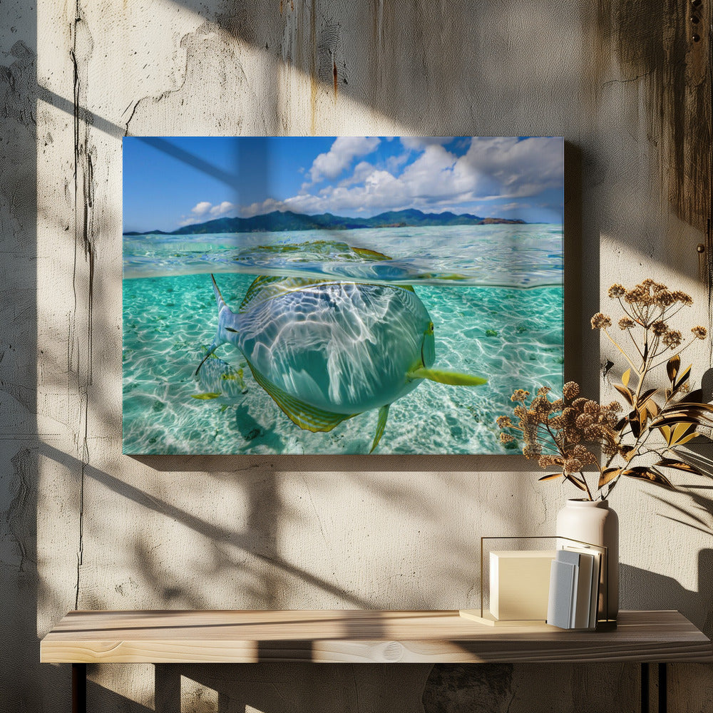 Swimming pool | Canvas