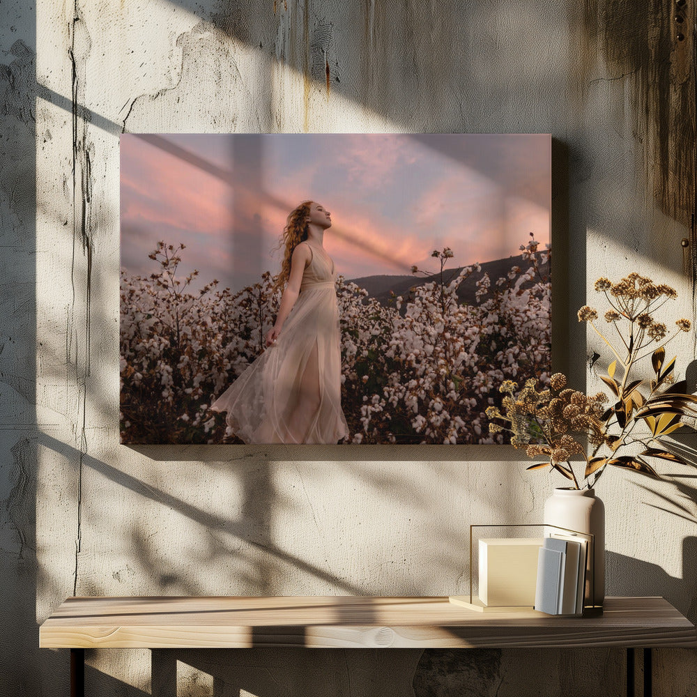 Sunset in the cotton field | Canvas