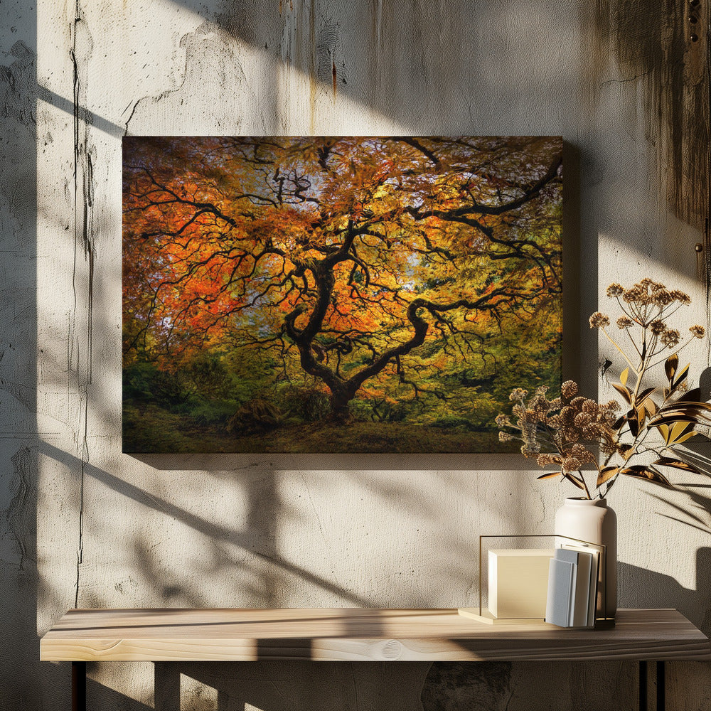 Der Ahornbaum | Leinwand