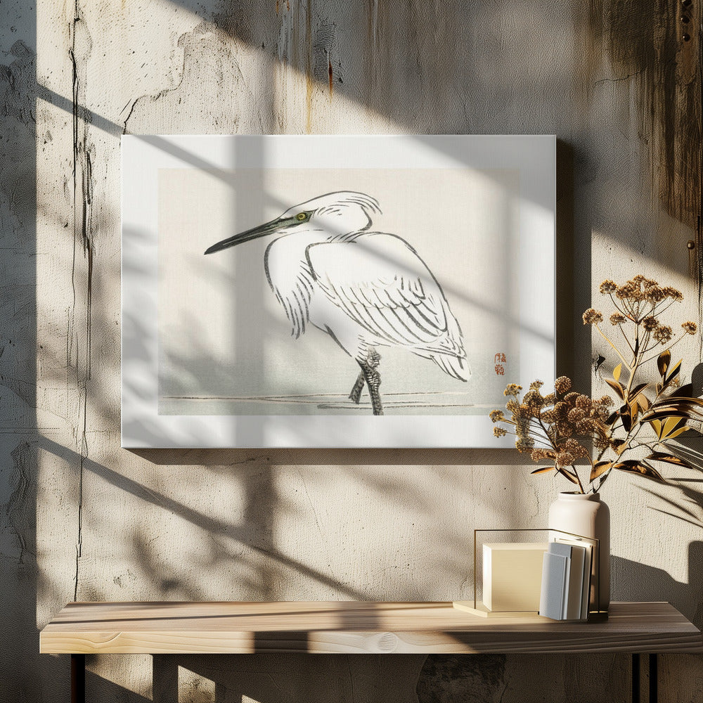 Snowy Egret | Canvas