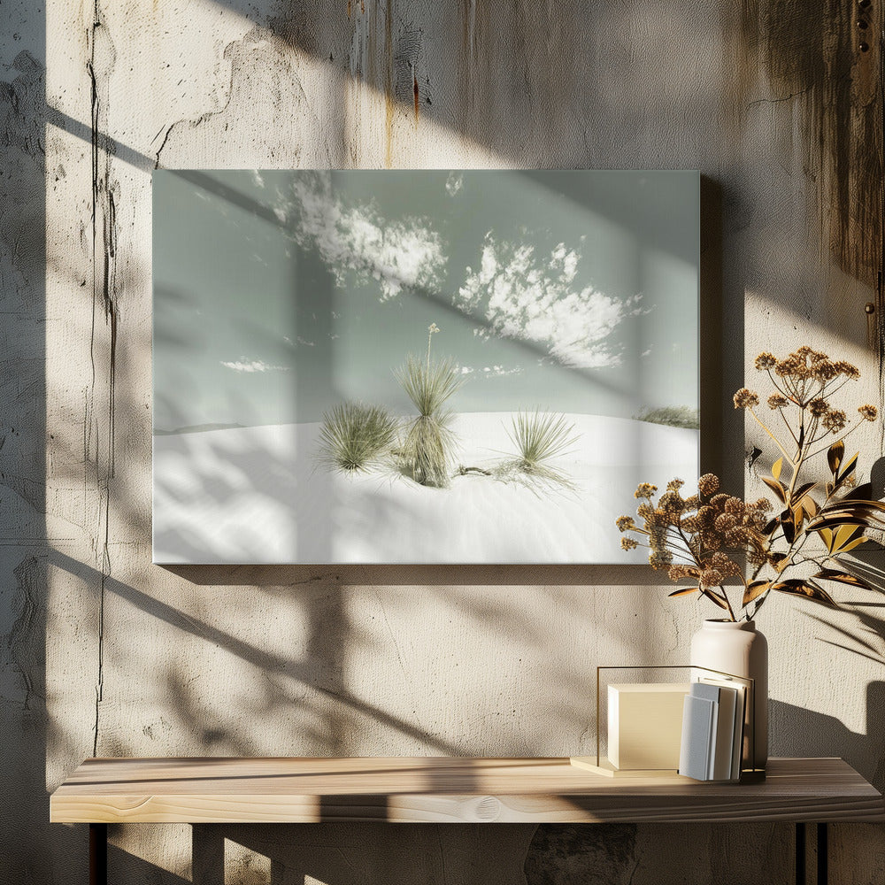 WHITE SANDS Vintage | Canvas