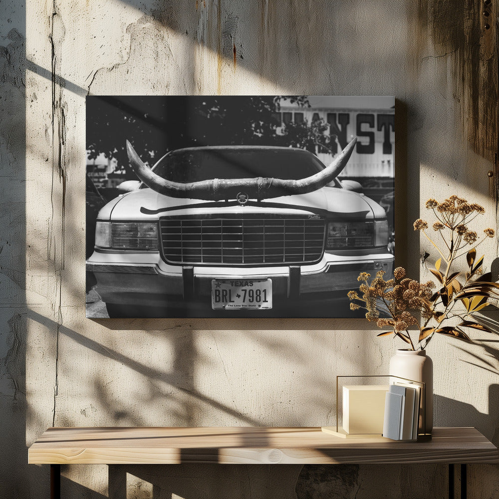 Texas-Fahrt | Leinwand