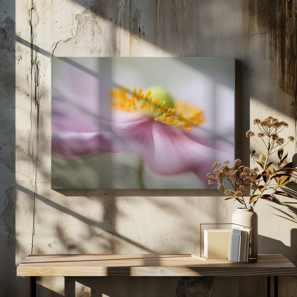 Dreaminess | Canvas