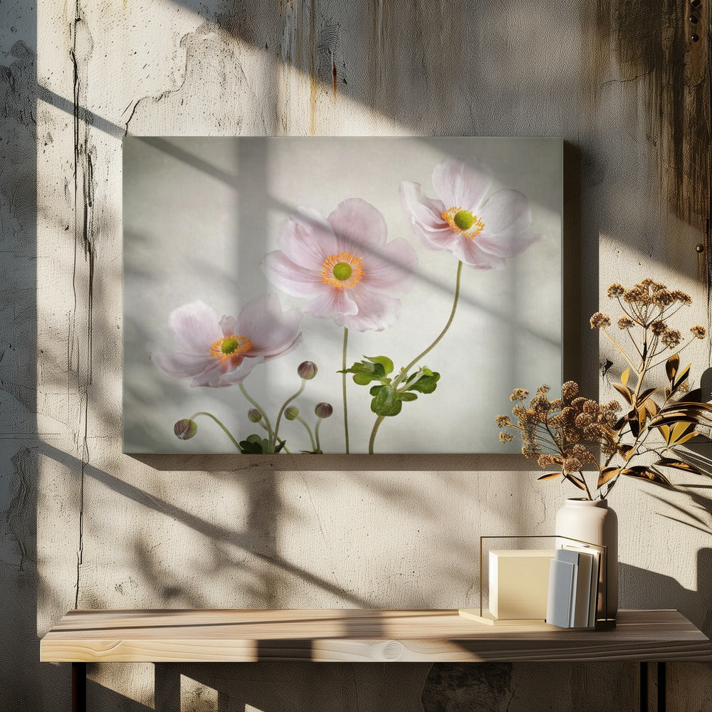 Anemonen | Leinwand