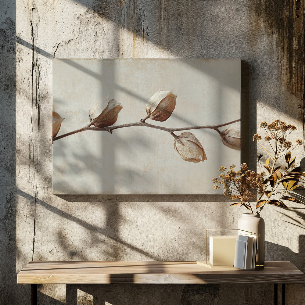 Verblasste Eleganz | Leinwand