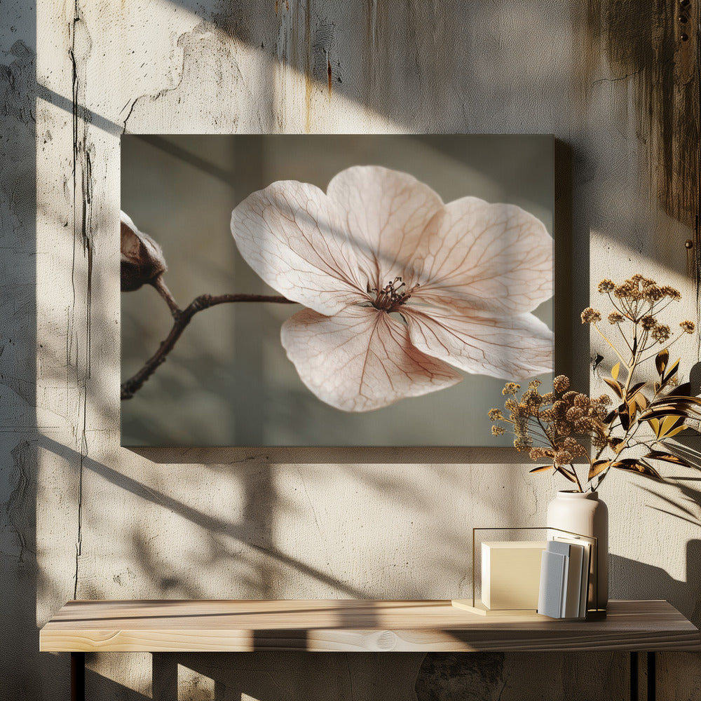 Zarte Blüte | Leinwand