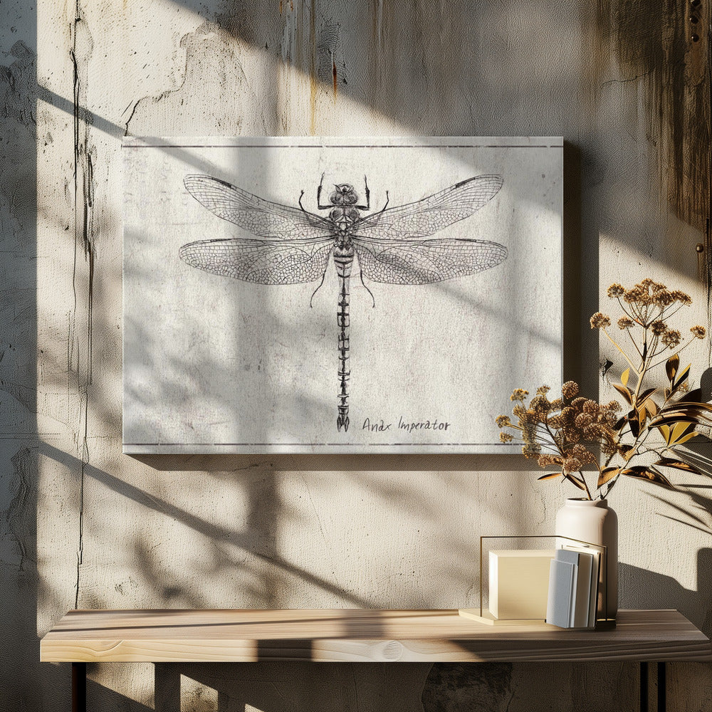 Majestät im Flug Anax Imperator | Leinwand