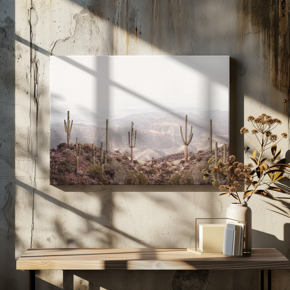 Arizona Valley | Leinwand