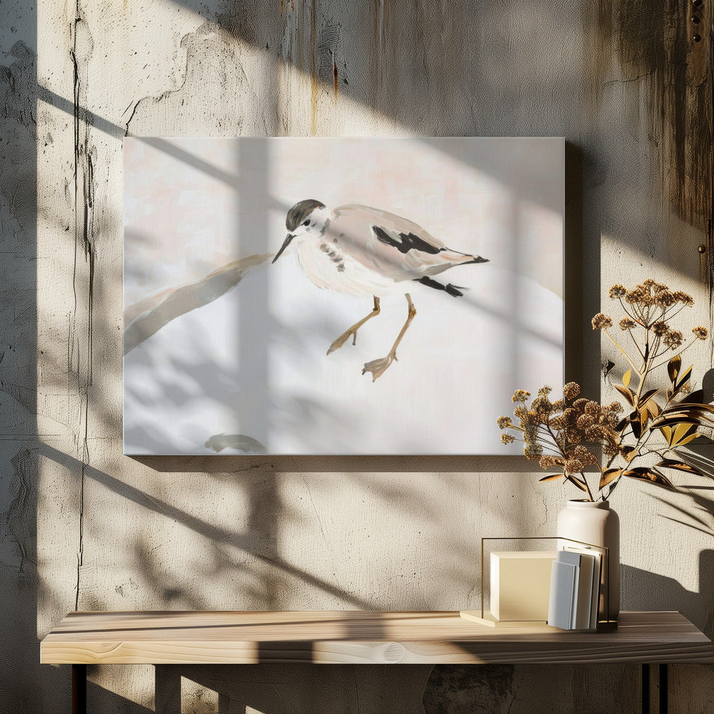 Süßer Watvogel | Leinwand