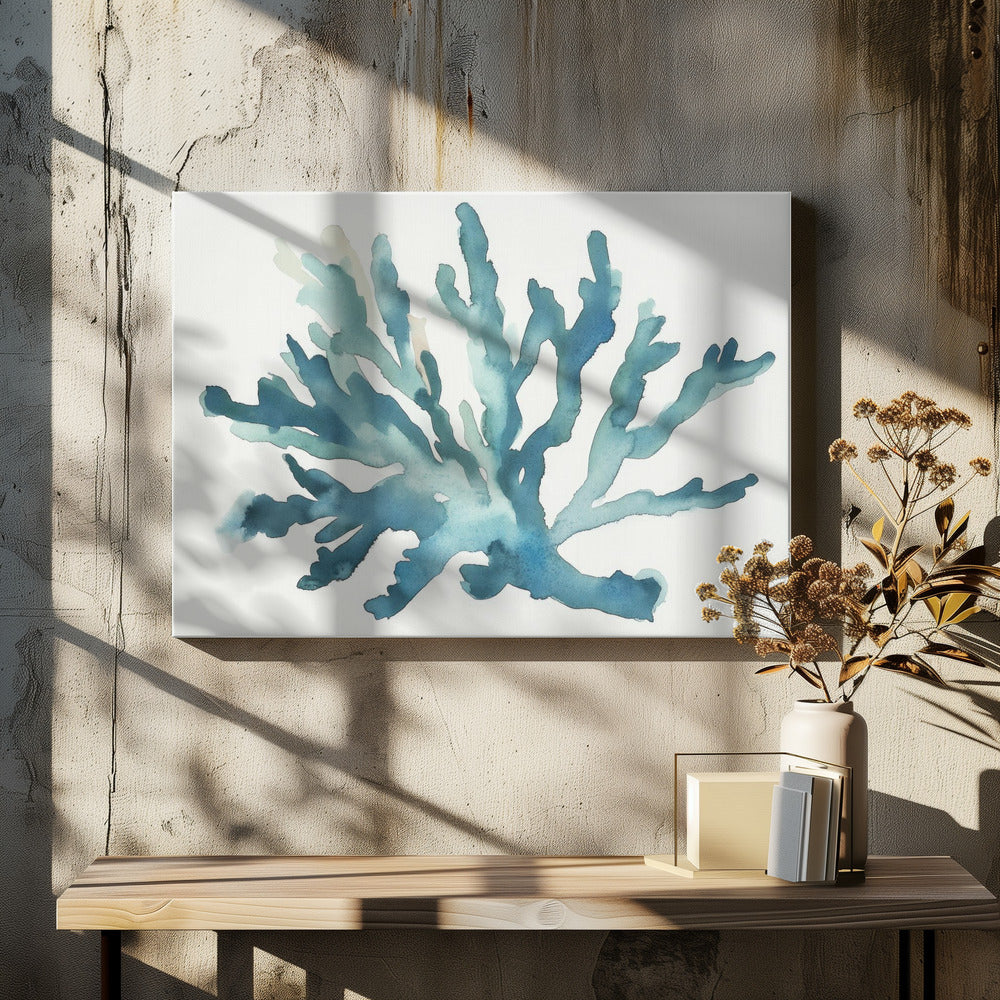 Turqoiuse Coral | Canvas