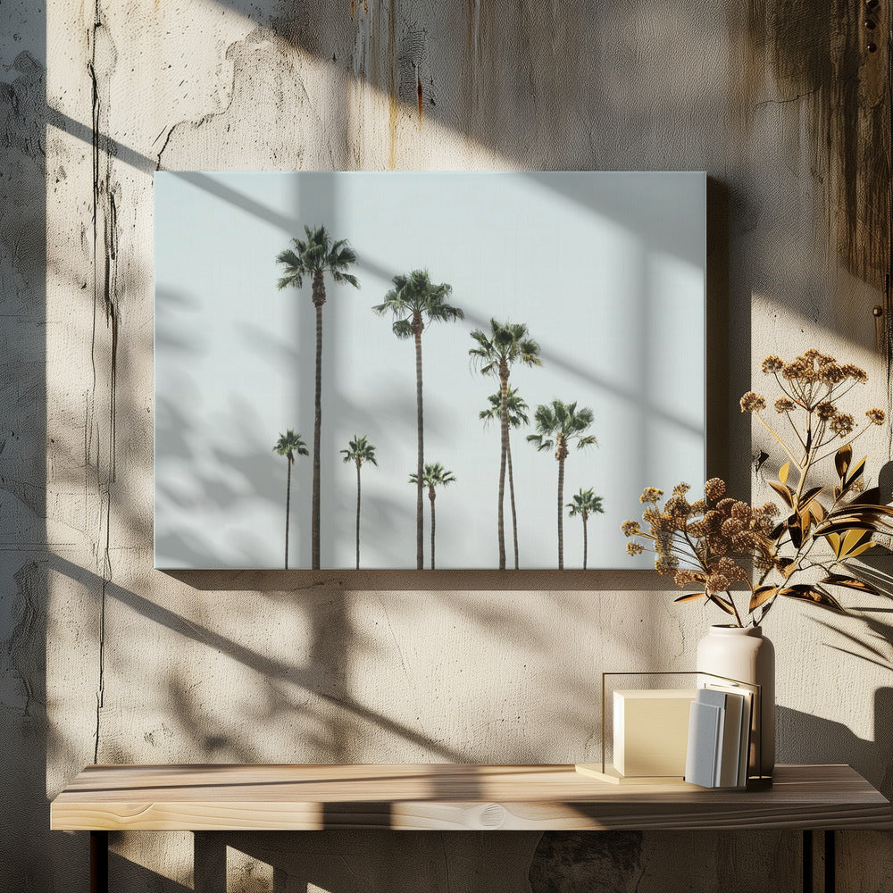 Cali Palms | Leinwand