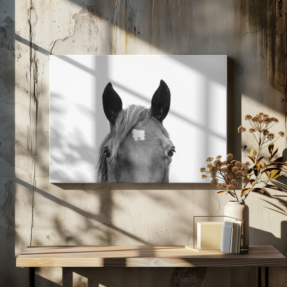 Guckendes Pferd | Leinwand
