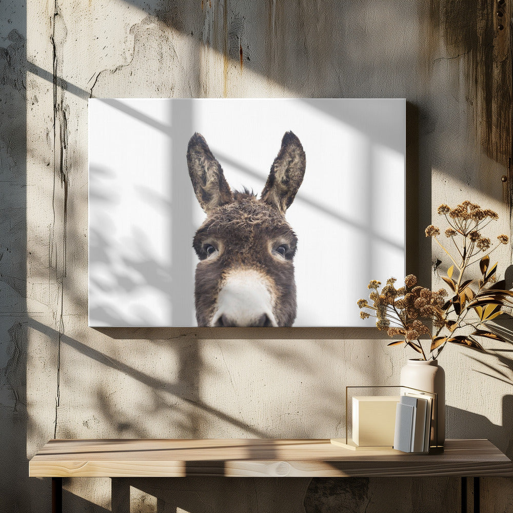 Guckender Esel | Leinwand
