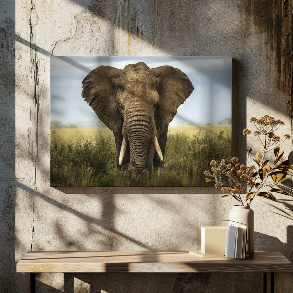 Begegnungen in der Serengeti | Leinwand