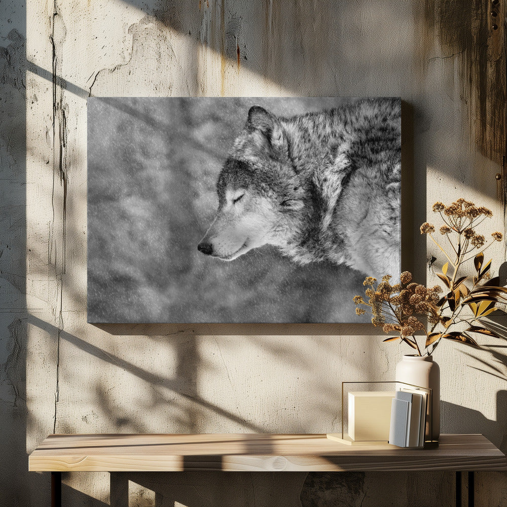 Lass es schneien | Leinwand