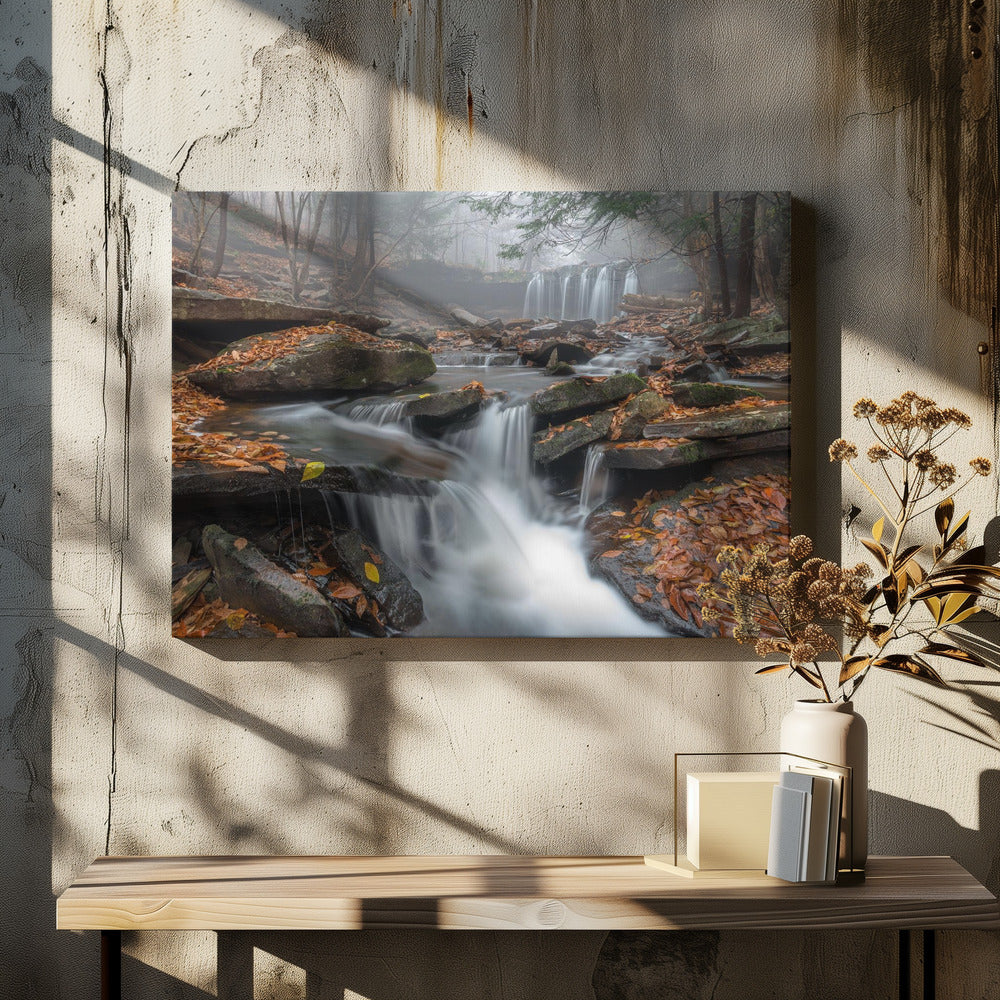 Morning Fog | Canvas