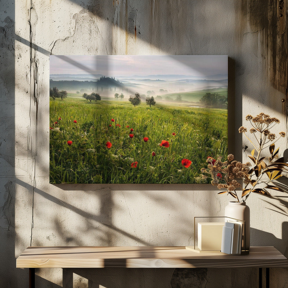 Toskanischer Frühling | Leinwand