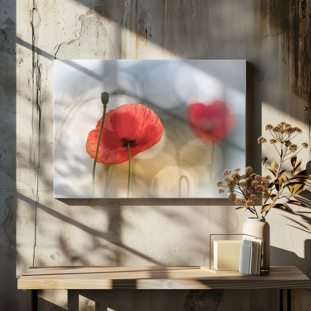 Morgenmohn | Leinwand