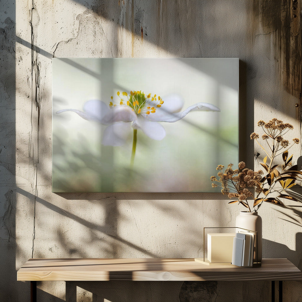 Nemorosa* | Leinwand