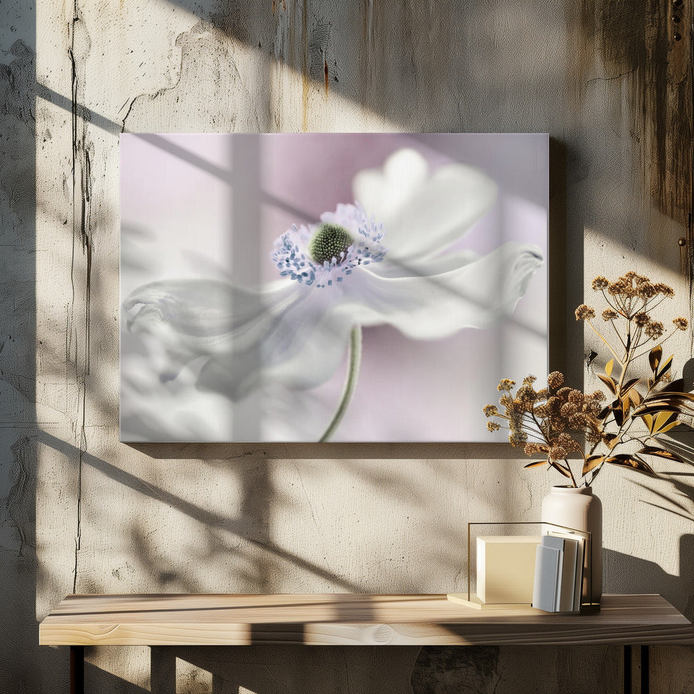 Anemonenbrise | Leinwand