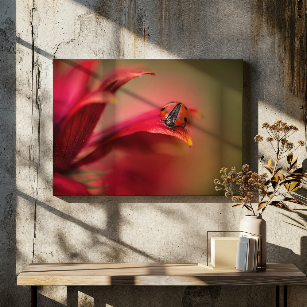 Einfach rot | Leinwand