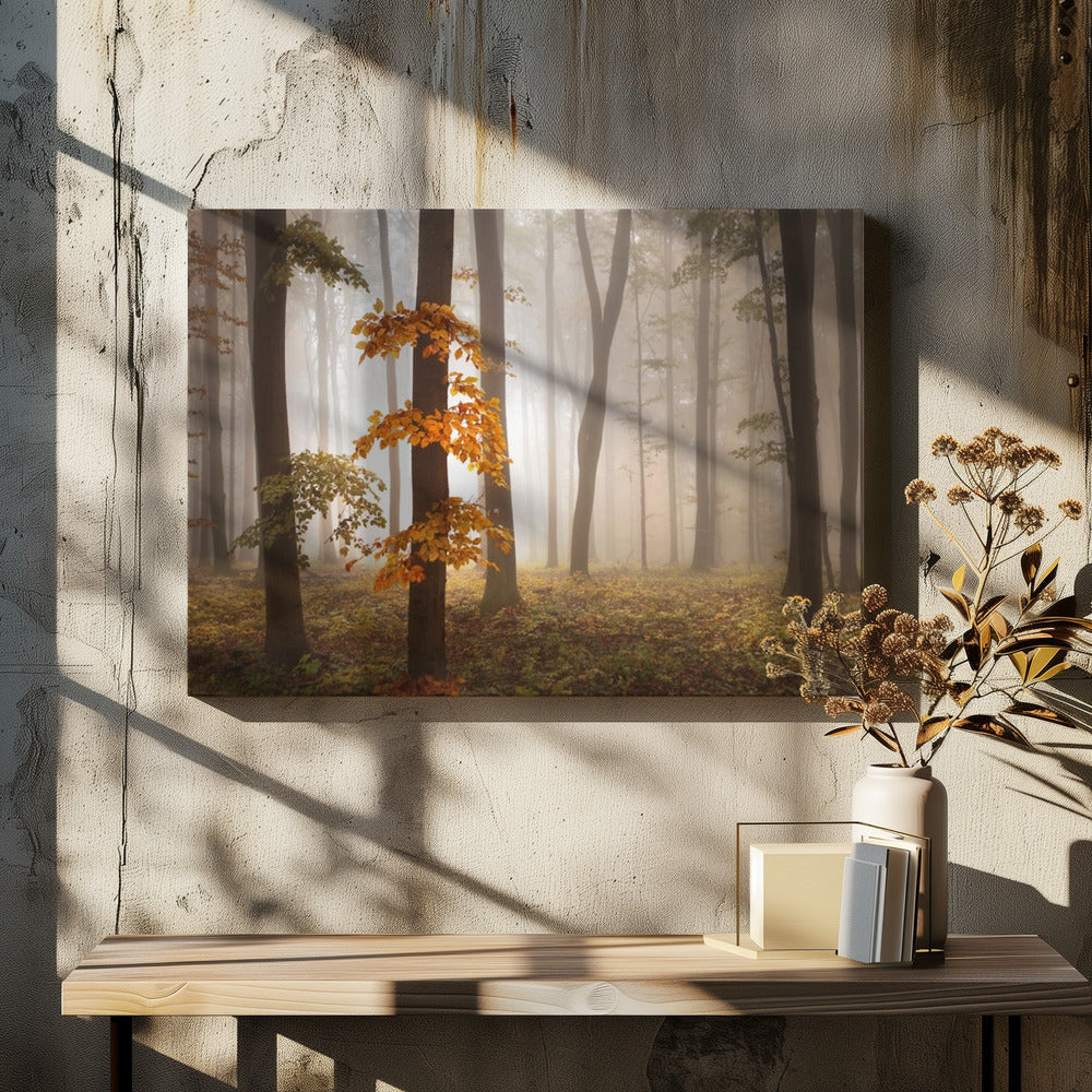 Im Novemberlicht | Leinwand
