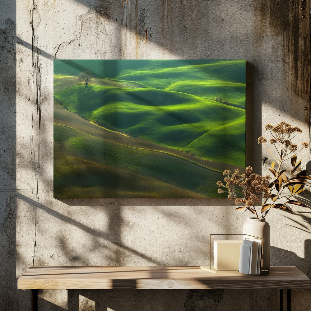 Oak... | Canvas