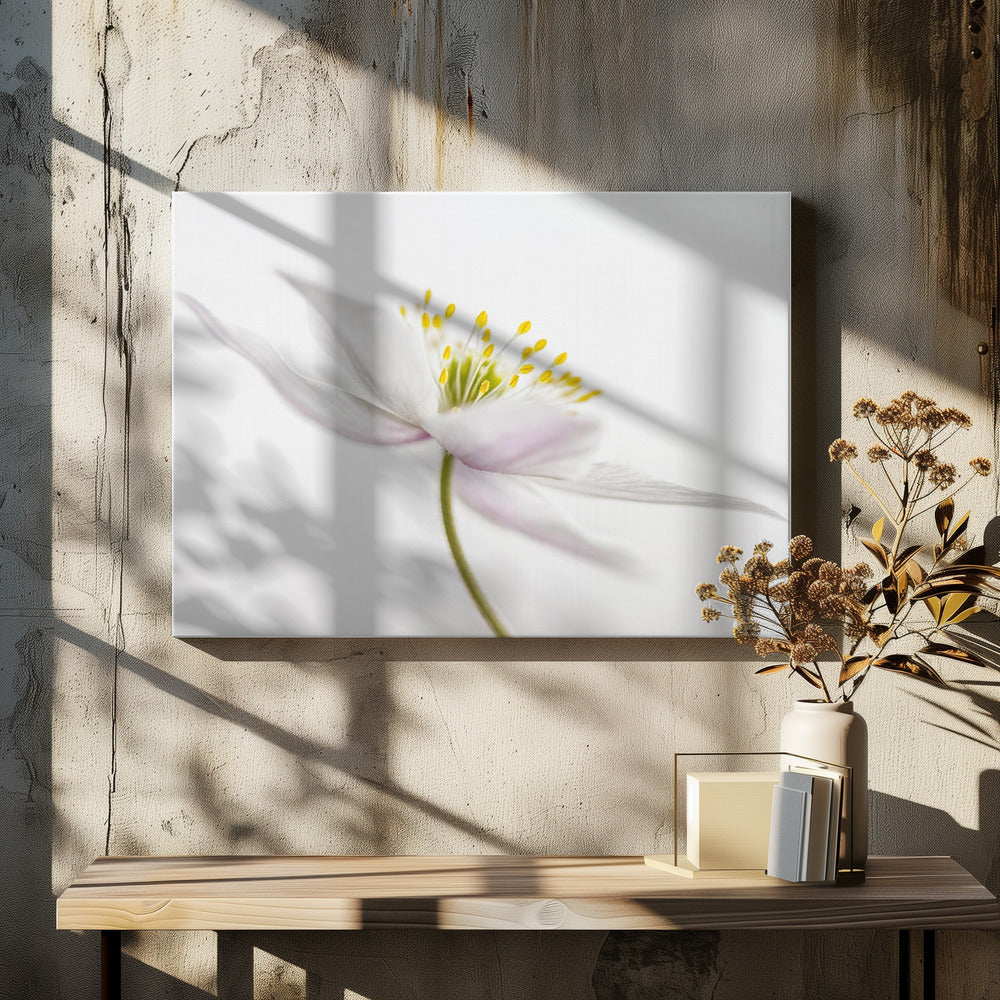 Nemorosa** | Leinwand