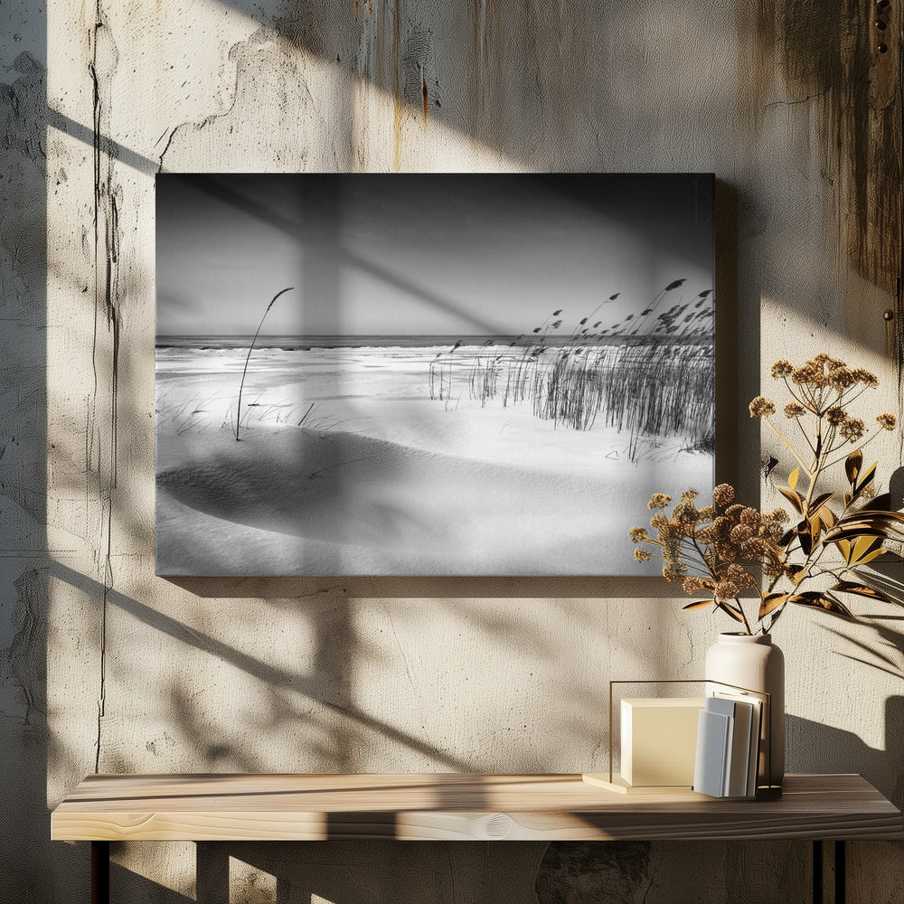 Orchestra | Canvas