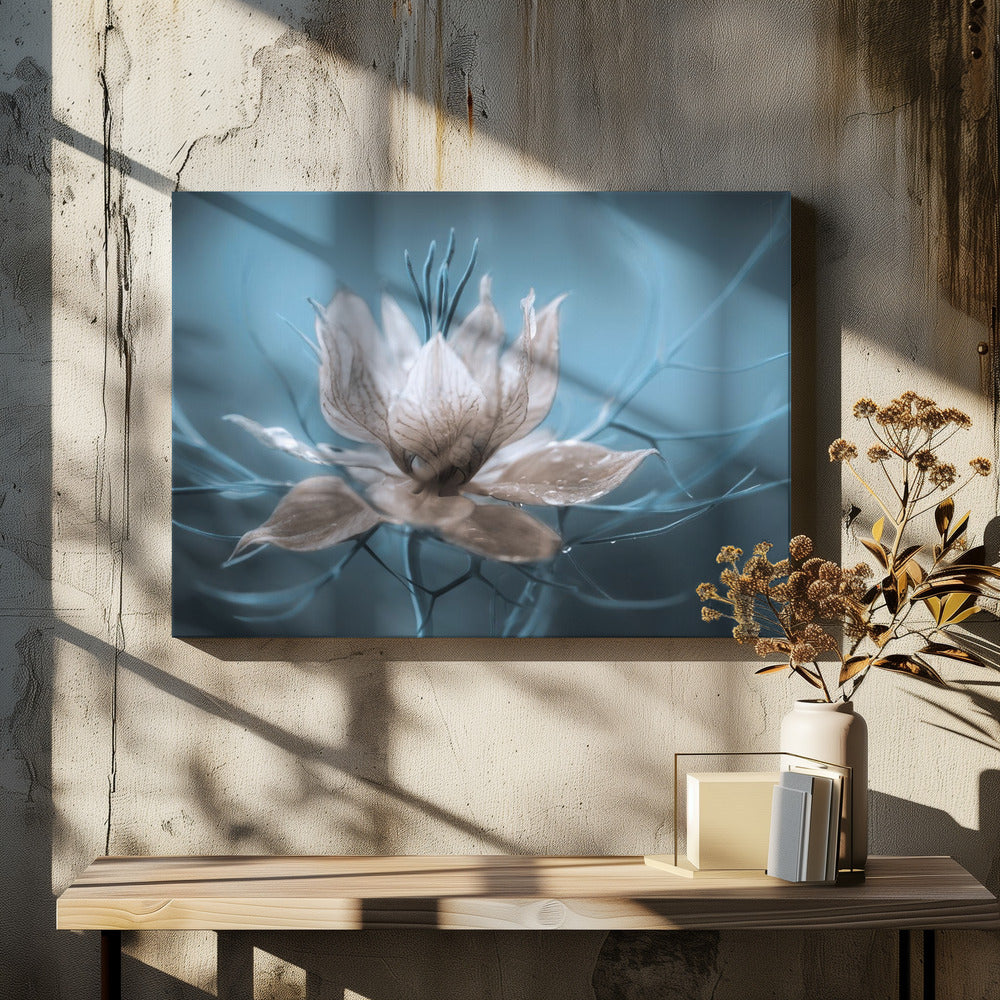 *Nigella* | Leinwand