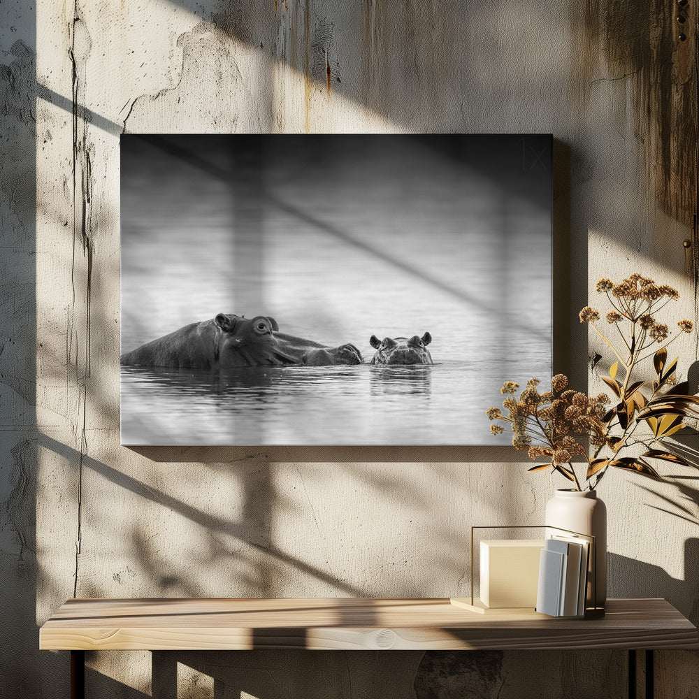 Eye level | Canvas