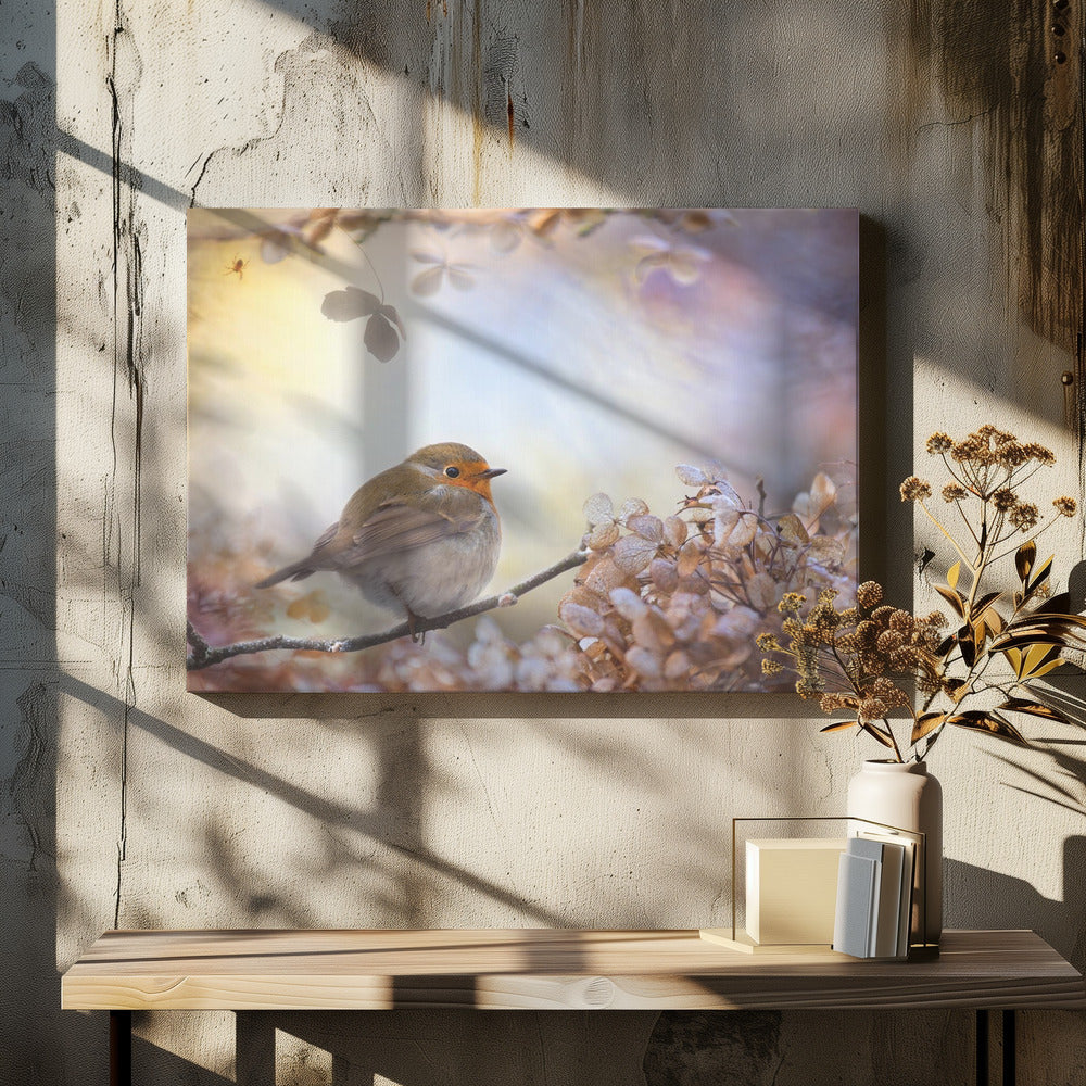 Robin über Träume | Leinwand