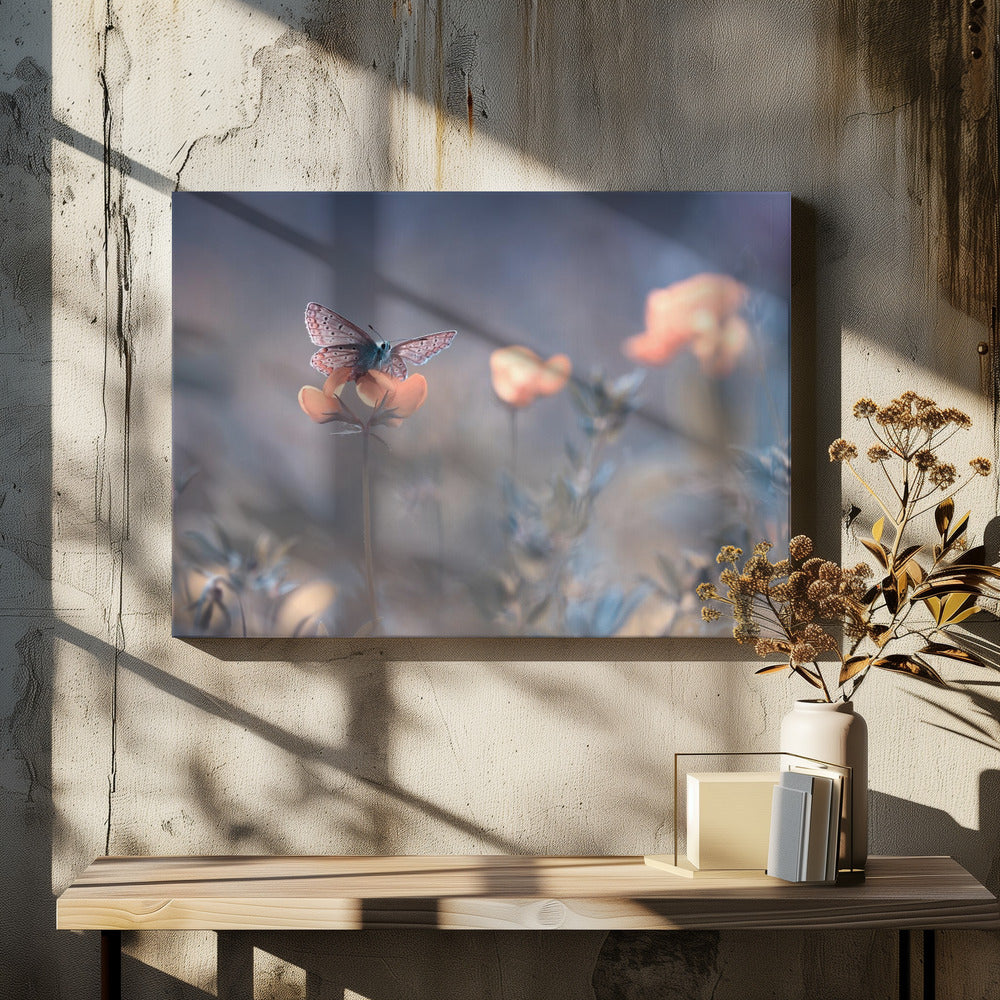 Die Herrin von Lothlorien | Leinwand