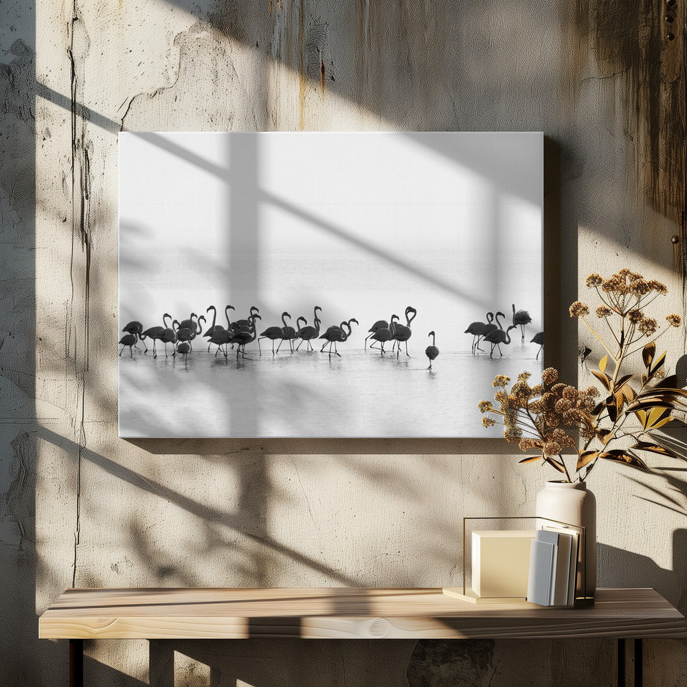 Flamingos | Leinwand