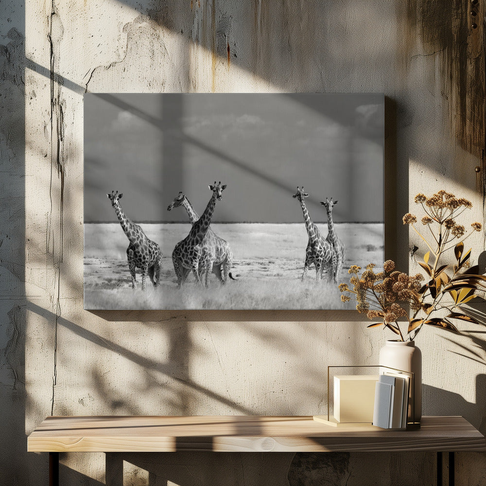 Schau Mädchen Seltsame Tiere | Leinwand