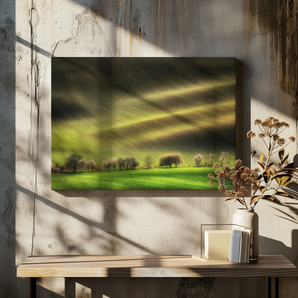 Mährische Felder | Leinwand