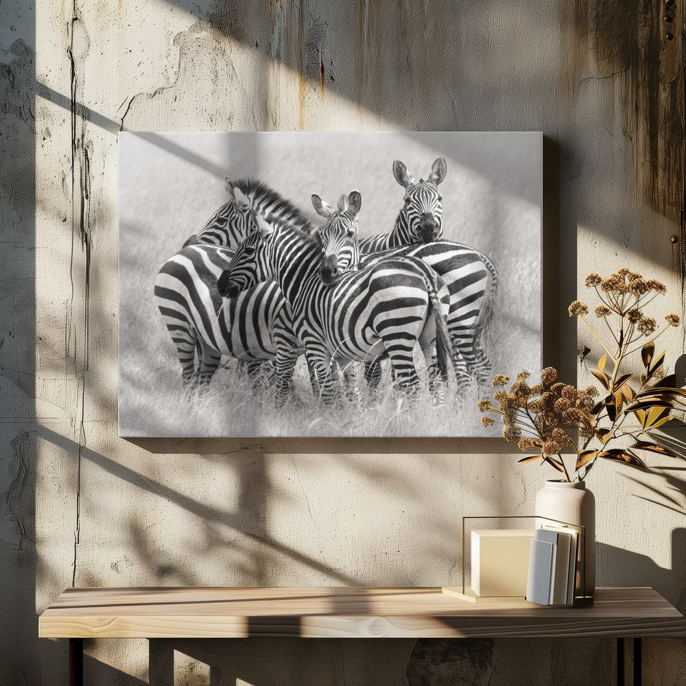 Zebras | Leinwand