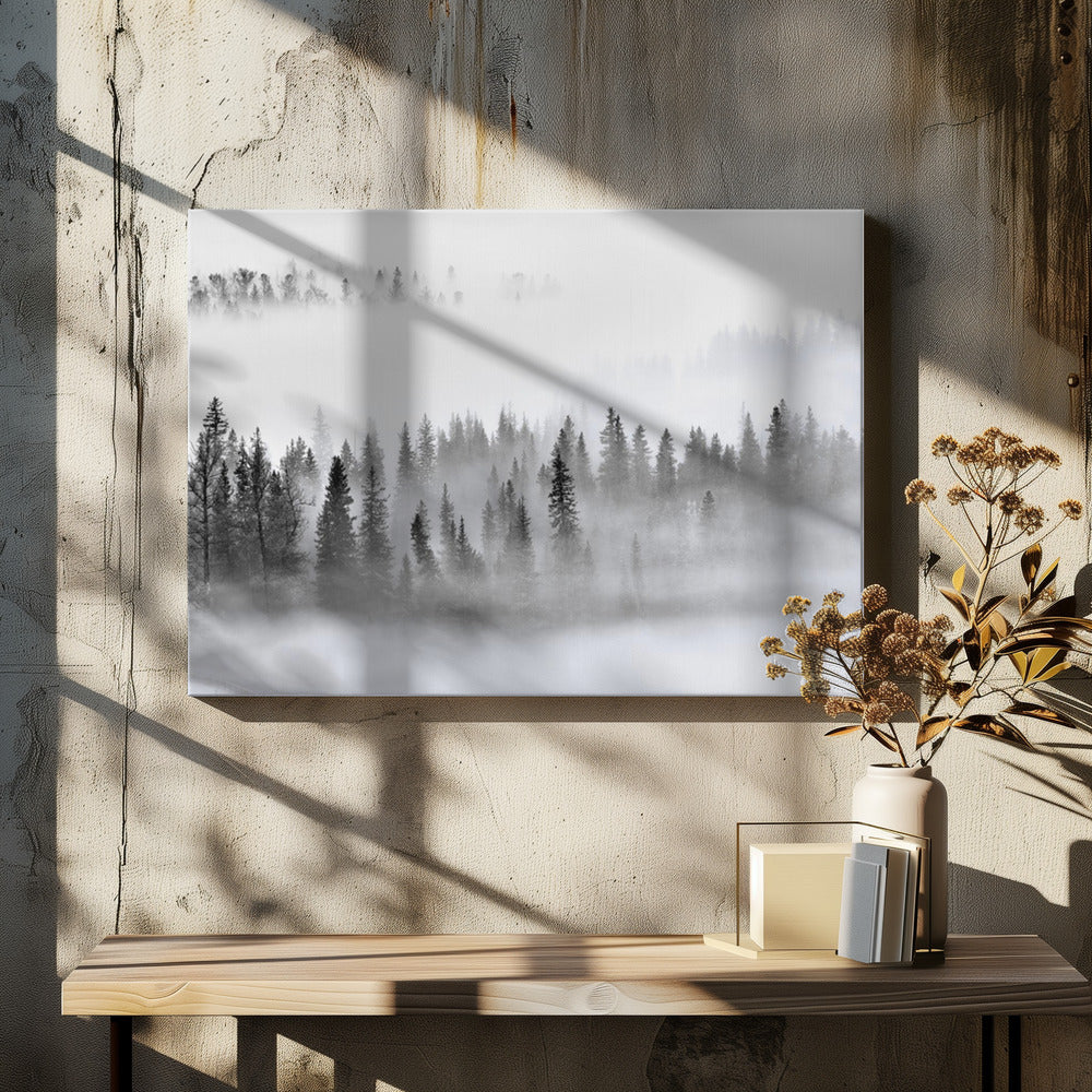 Nebliger Wald | Leinwand