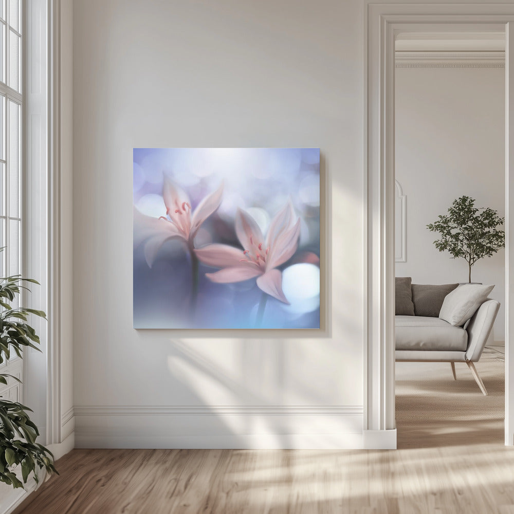 *-* | Leinwand